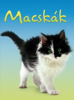 Kis Könyvtár - Macskák