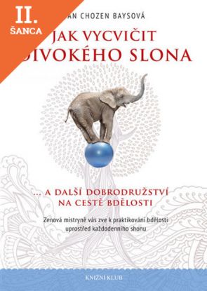Lacná kniha Jak vycvičit divokého slona