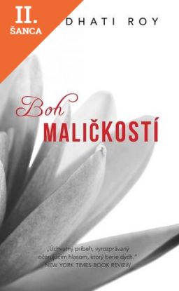 Lacná kniha Boh maličkostí