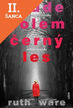 Lacná kniha Všude kolem černý les