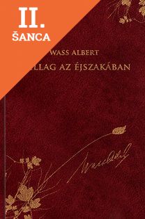 Lacná kniha Csillag az éjszakában