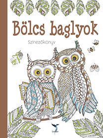 Bölcs baglyok