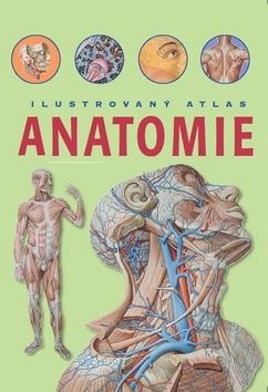Anatomie Ilustrovaný atlas