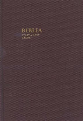 Biblia (baklažánová farba)
