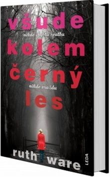 Všude kolem černý les