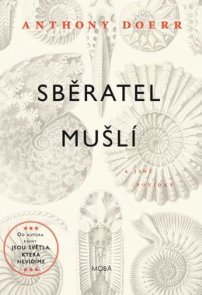Sběratel mušlí
