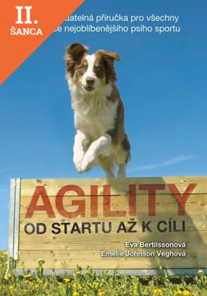 Lacná kniha Agility - Od startu až k cíli
