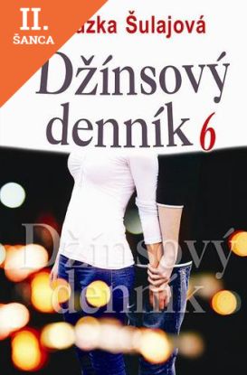 Lacná kniha Džínsový denník 6
