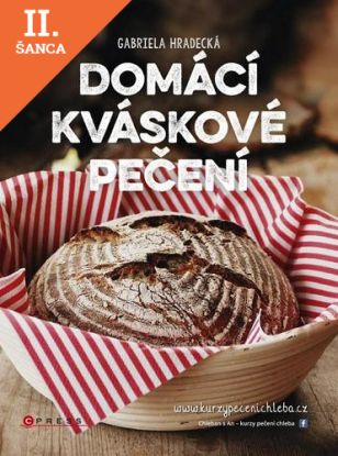 Lacná kniha Domácí kváskové pečení