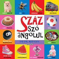 Száz szó angolul - Sok-sok matricával