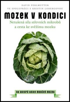 Mozek v kondici