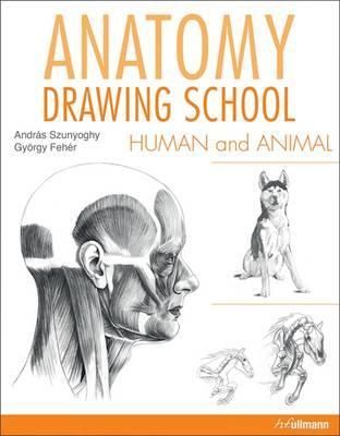 Anatomy Drawing School Human and Animal