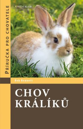 Chov králíků