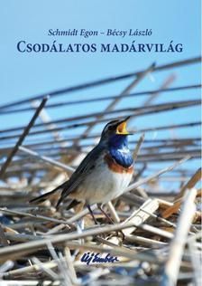 Csodálatos madárvilág