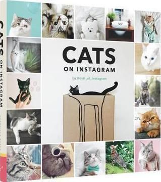 Cats on Instagram