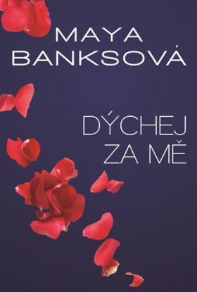 Dýchej za mě - V žáru bezpečí 4