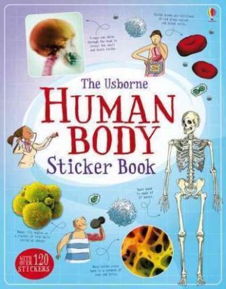 Human Body Sticker Book