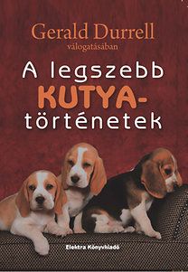 A legszebb kutyatörténetek