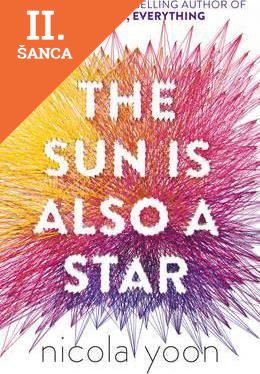 Lacná kniha The Sun is Also a Star