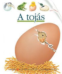 A tojás - Kis felfedező zsebkönyvek 34. - Rajzos fóliával