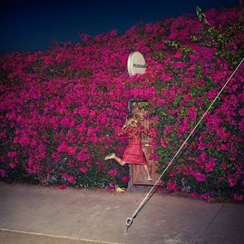 Feist - Pleasure  LP