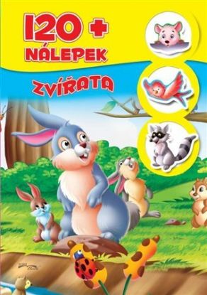 Zvířata
