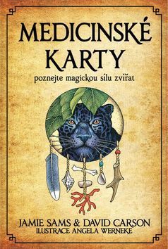 Medicínske karty (kniha + karty)