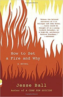 How to Set a Fire and Why