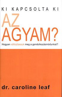 Ki kapcsolta ki az agyam?