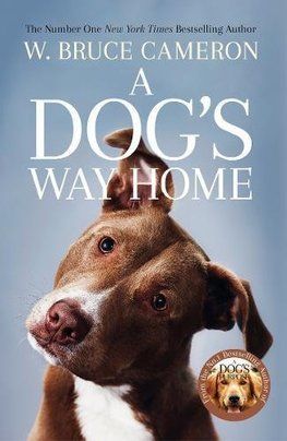 A Dogs Way Home