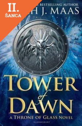 Lacná kniha Tower of Dawn