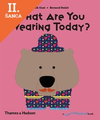 Lacná kniha What Are You Wearing Today?