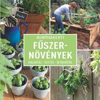 Konyhakerti fűszernövények