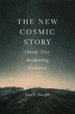 New Cosmic Story