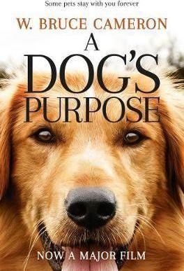 Dog`s Purpose