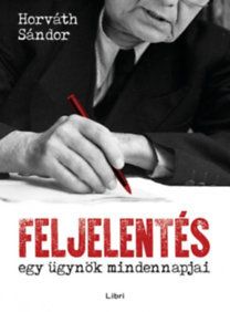 Feljelentés - Egy ügynök mindennapjai