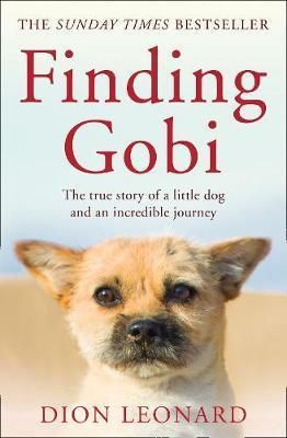 Finding Gobi