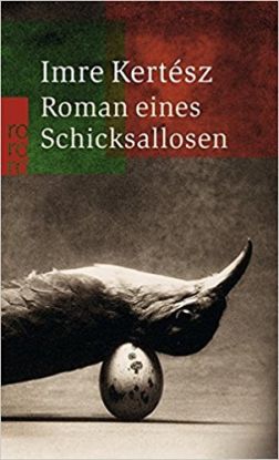 Roman Eines Schicksallosen