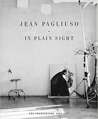 Jean Pagliuso - In Plain Sight