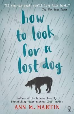 How to look for a lost dog