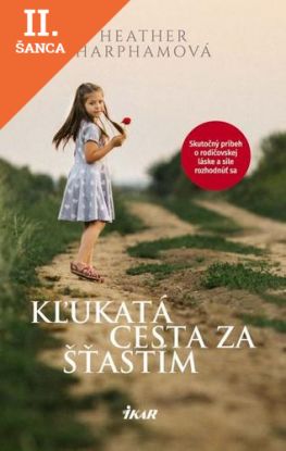 Lacná kniha Kľukatá cesta za šťastím
