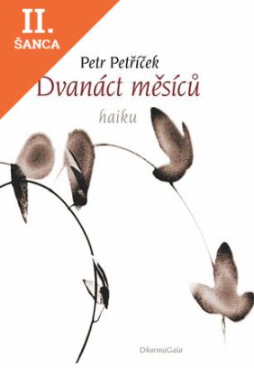 Lacná kniha Dvanáct měsíců