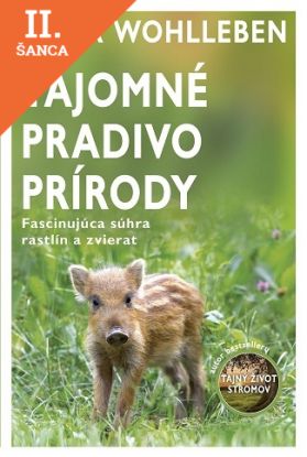 Lacná kniha Tajomné pradivo prírody