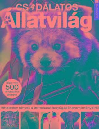 Csodálatos állatvilág