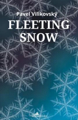Fleeting Snow