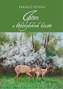 Isten a kökénybokrok között - Vadászírások