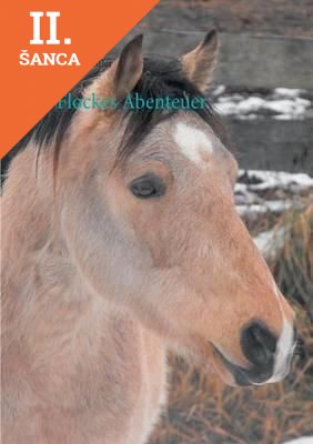 Lacná kniha Flockes Abenteuer