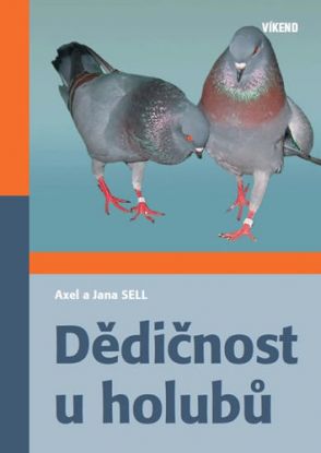 Dědičnost u holubů
