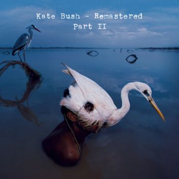Bush Kate - CD Box 2