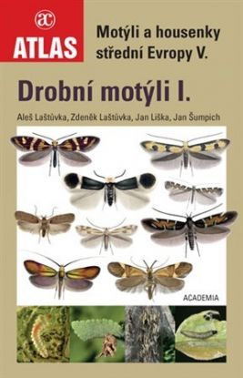Drobní motýli I.